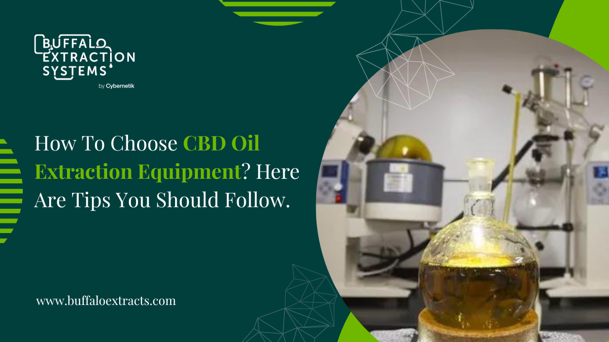 How To Choose Cbd Oil Extraction Equipment Here Are Tips 4923