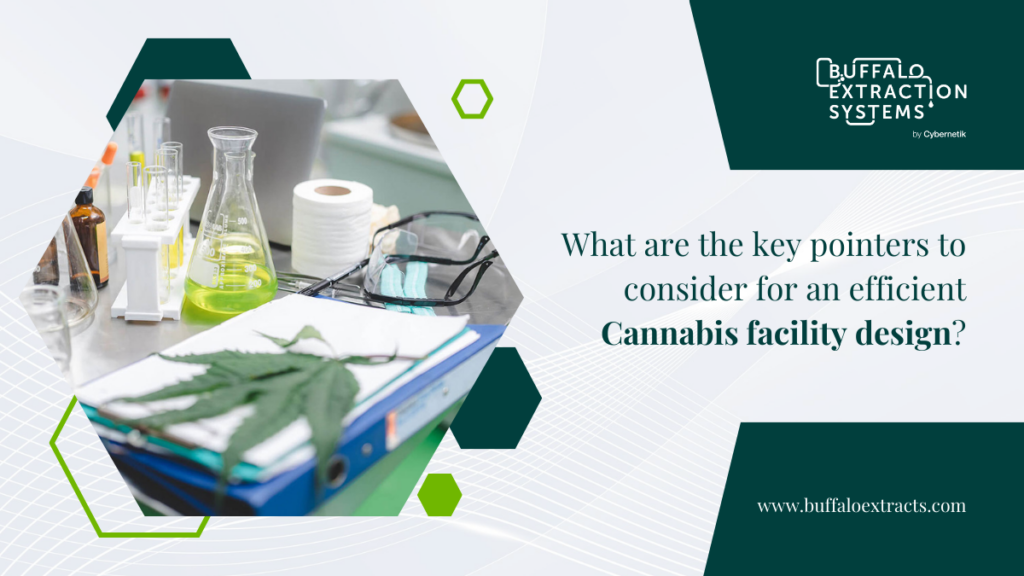 What Are the Key Pointers to Consider for An Efficient Cannabis Facility Design?