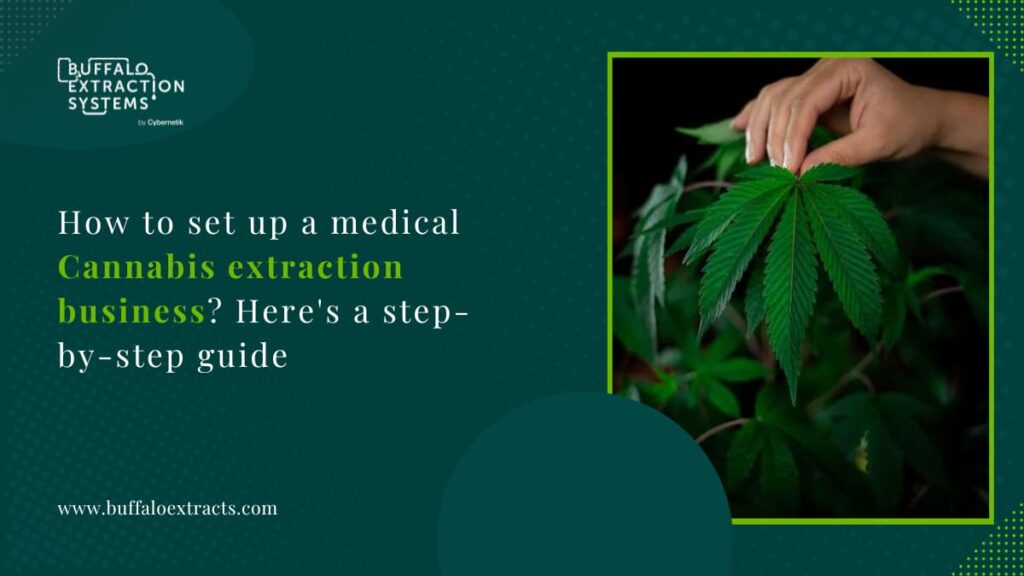 How to Set Up a Medical Cannabis Extraction Business? Here's A Step-By-Step Guide