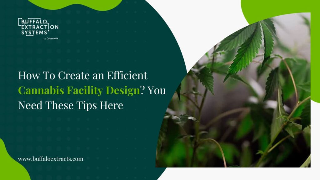 How To Create an Efficient Cannabis Facility Design? You Need These Tips Here