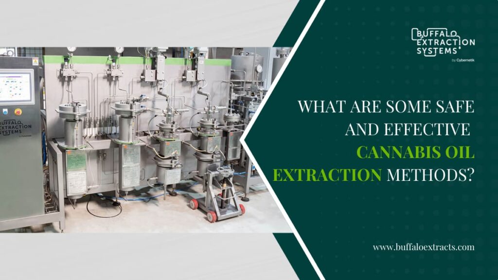 What Are Some Safe And Effective Cannabis Oil Extraction Methods?