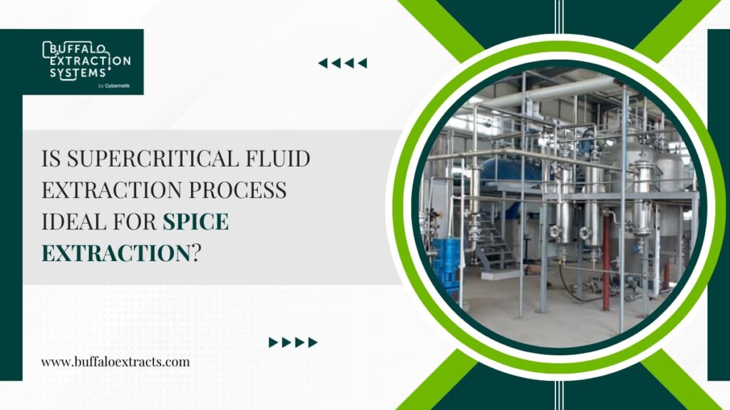 Is Supercritical Fluid Extraction Process Ideal for Spice Extraction