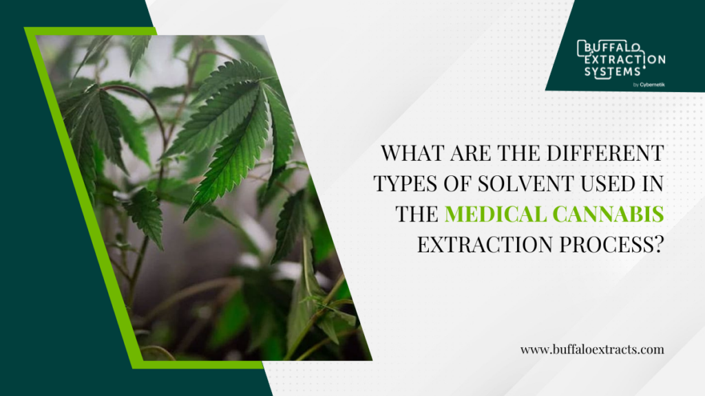 What Are The Different Types of Solvent Used in The Medical Cannabis Extraction Process?