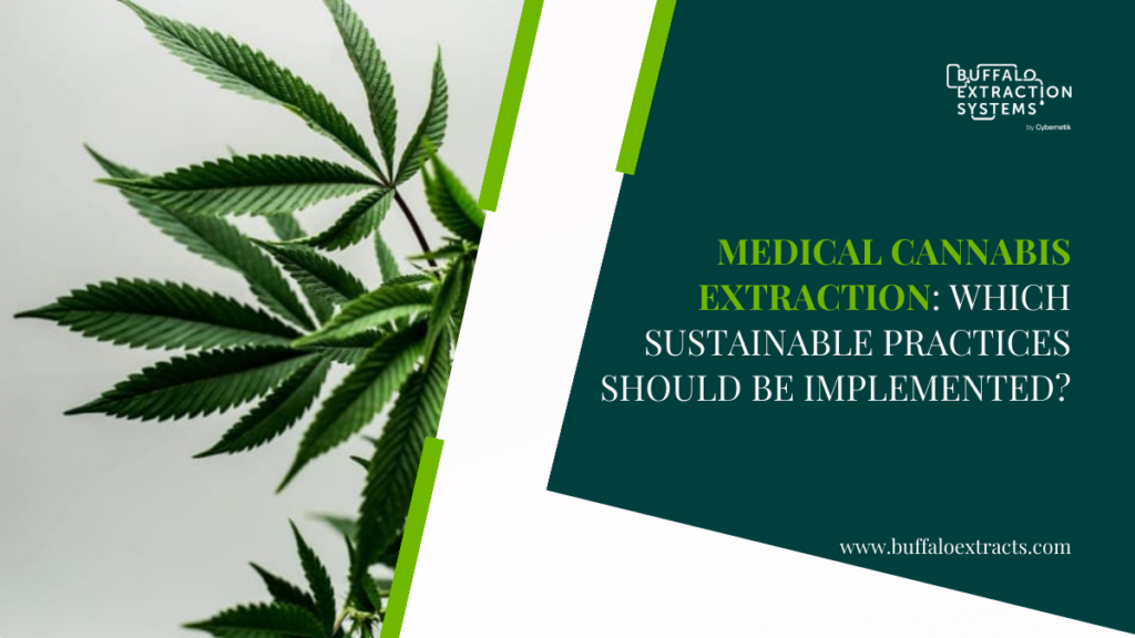 Medical Cannabis Extraction: Sustainable Practices