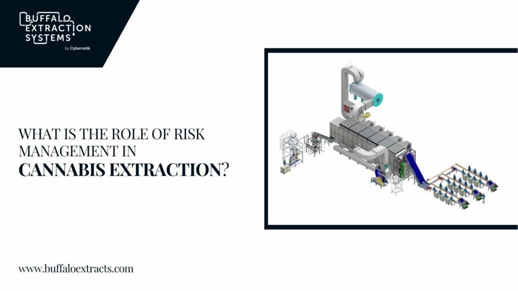 cannabis extraction system